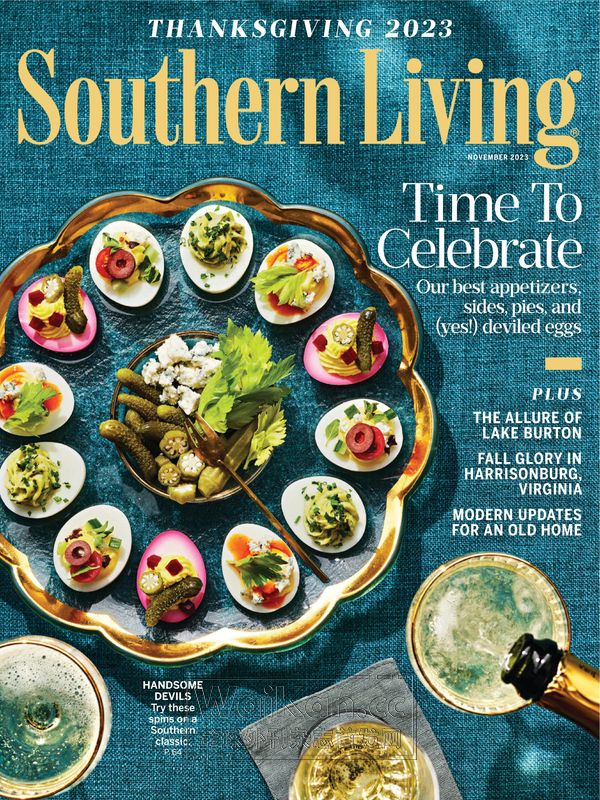 Southern Living - November 2023 (.PDF)
