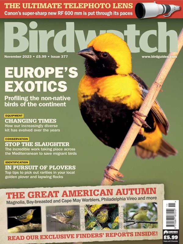 Birdwatch UK - November 2023 (.PDF)