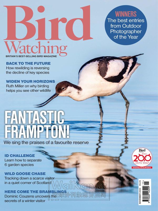 Bird Watching UK - November 2023 (.PDF)