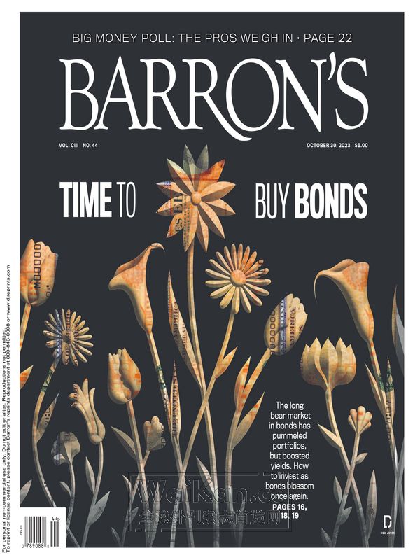 Barron's Magazine - October 30, 2023 (.PDF)