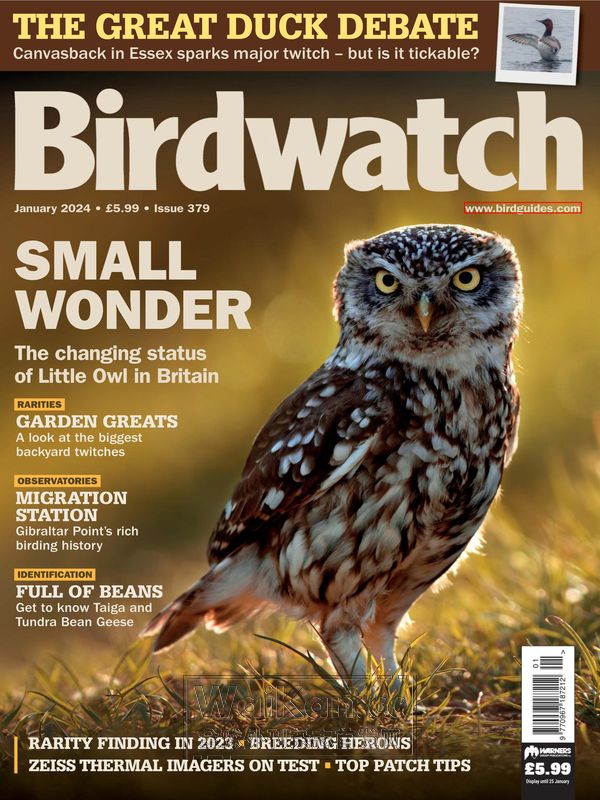 Birdwatch UK - January 2024 (.PDF)