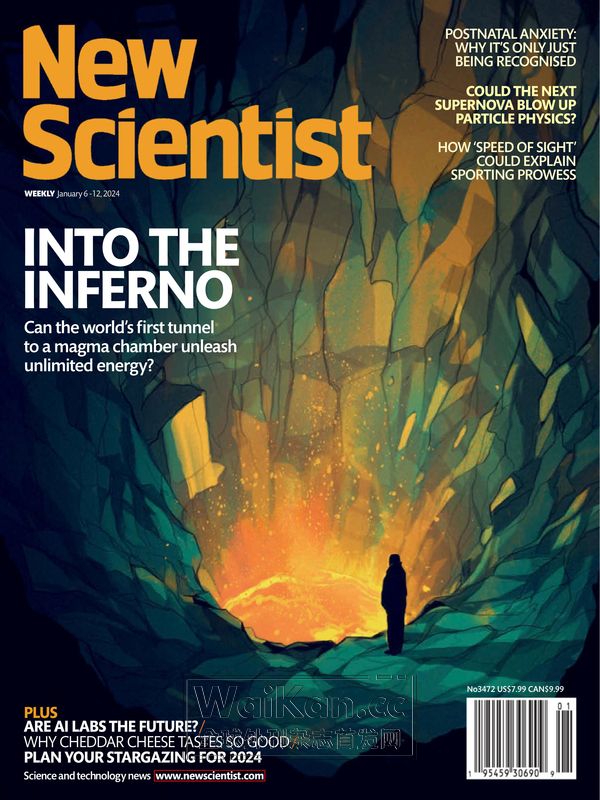 New Scientist US - 6&12 January 2024 (.PDF)