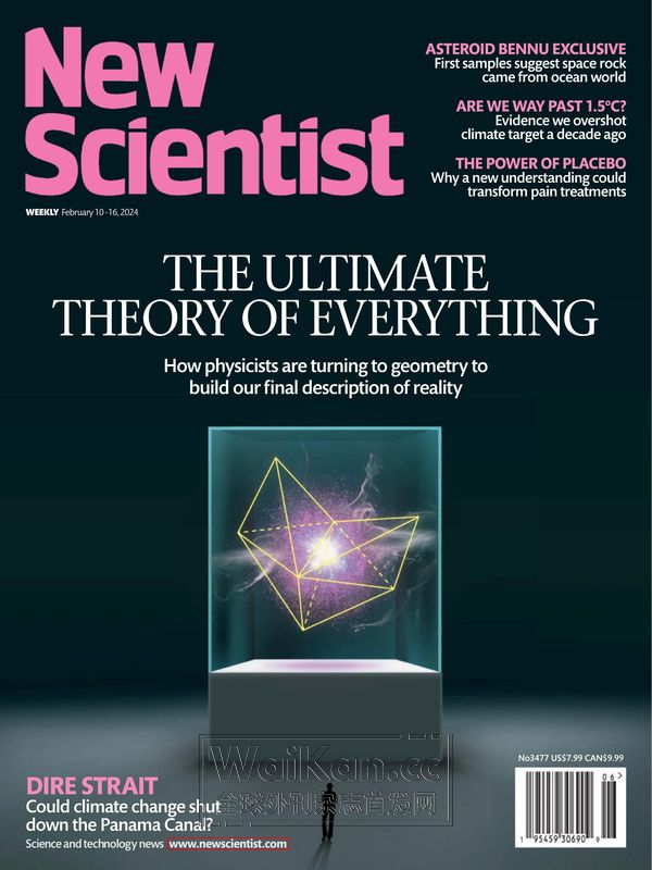 New Scientist US - 10&16 Feburary 2024 (.PDF)