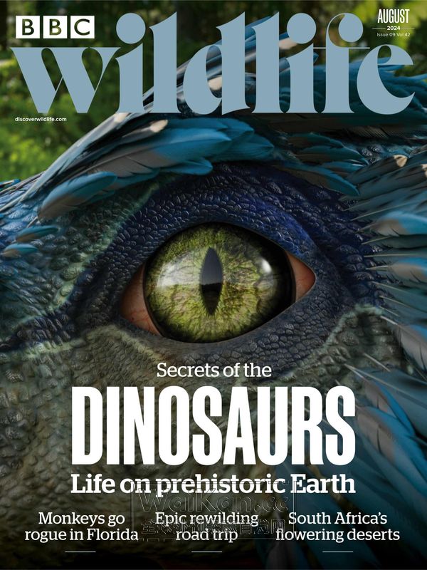 BBC Wildlife – August 2024 (.PDF)